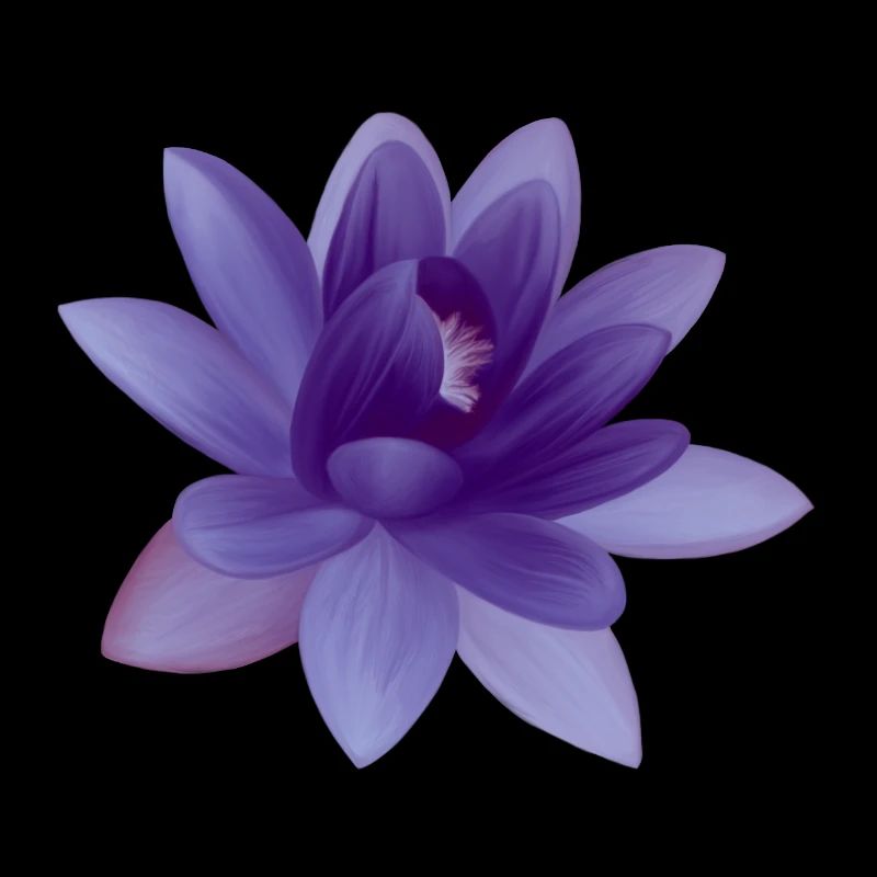 Illustration de fleur