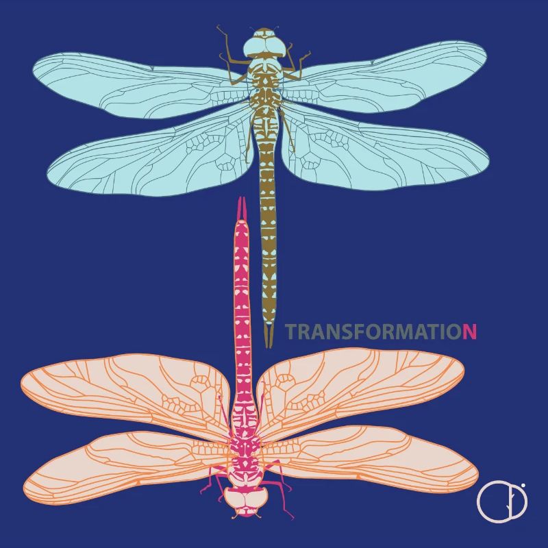 Libellules et transformation par CD