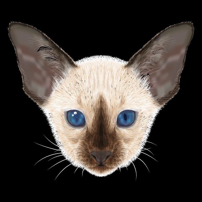 Siamkatze
