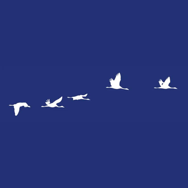Migratory birds white crane