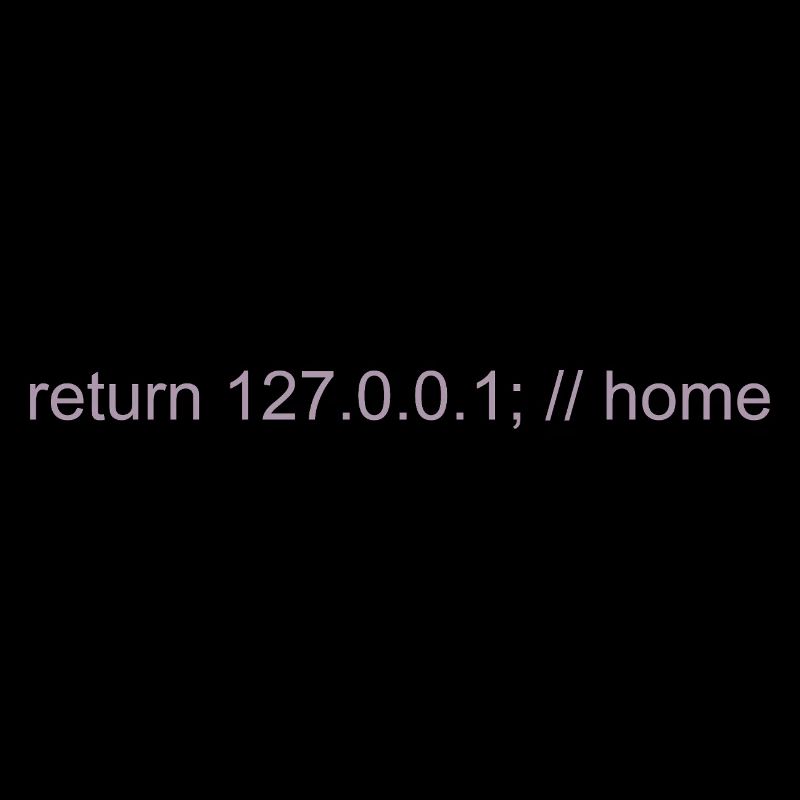 Programmer Nerd IT Joke Developer Home