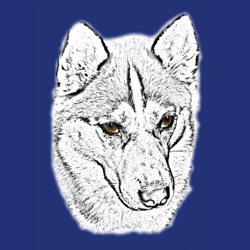 Wolfskopf Line Study