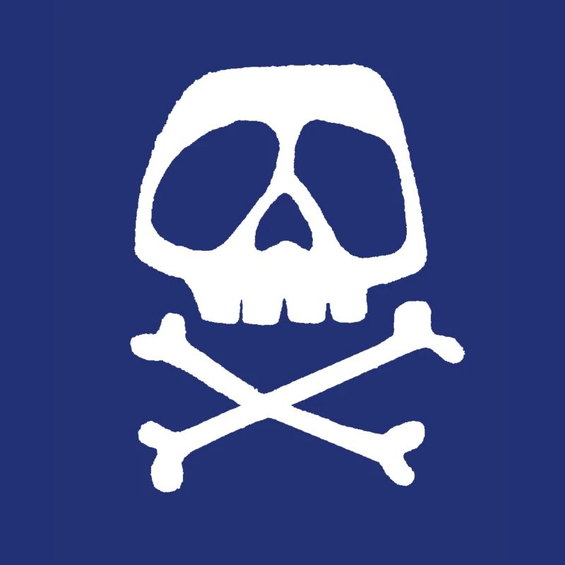 Skull Cross Pattern