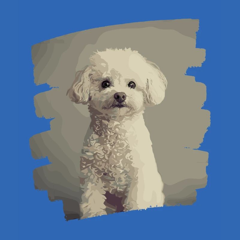 Caniche