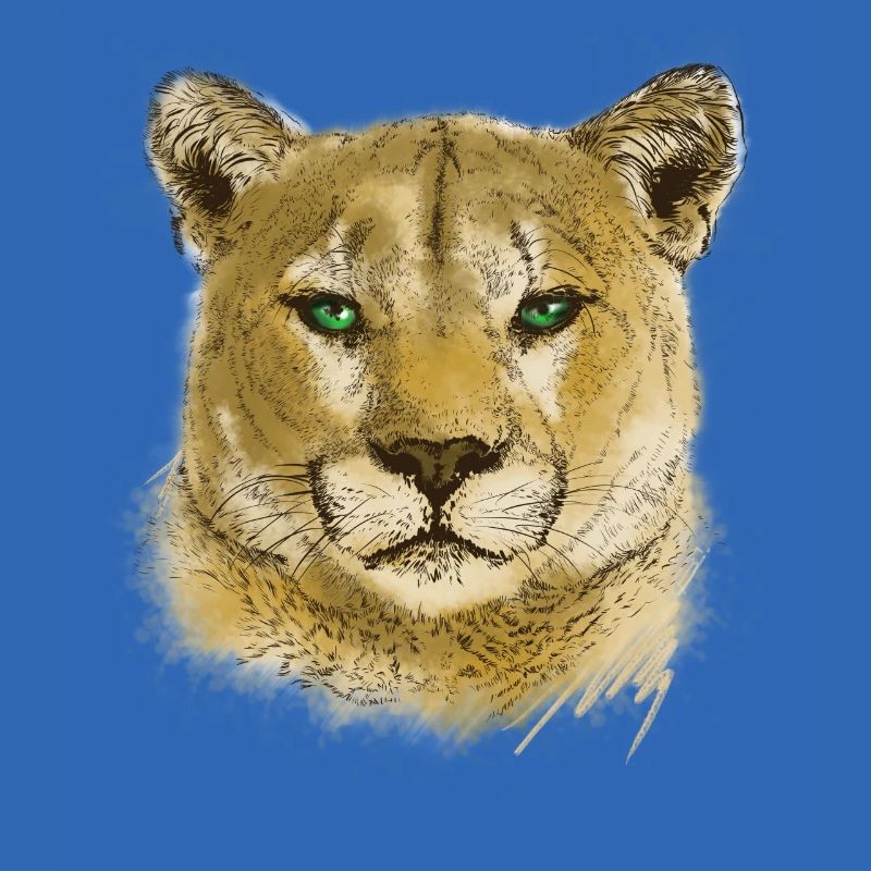 Cougar