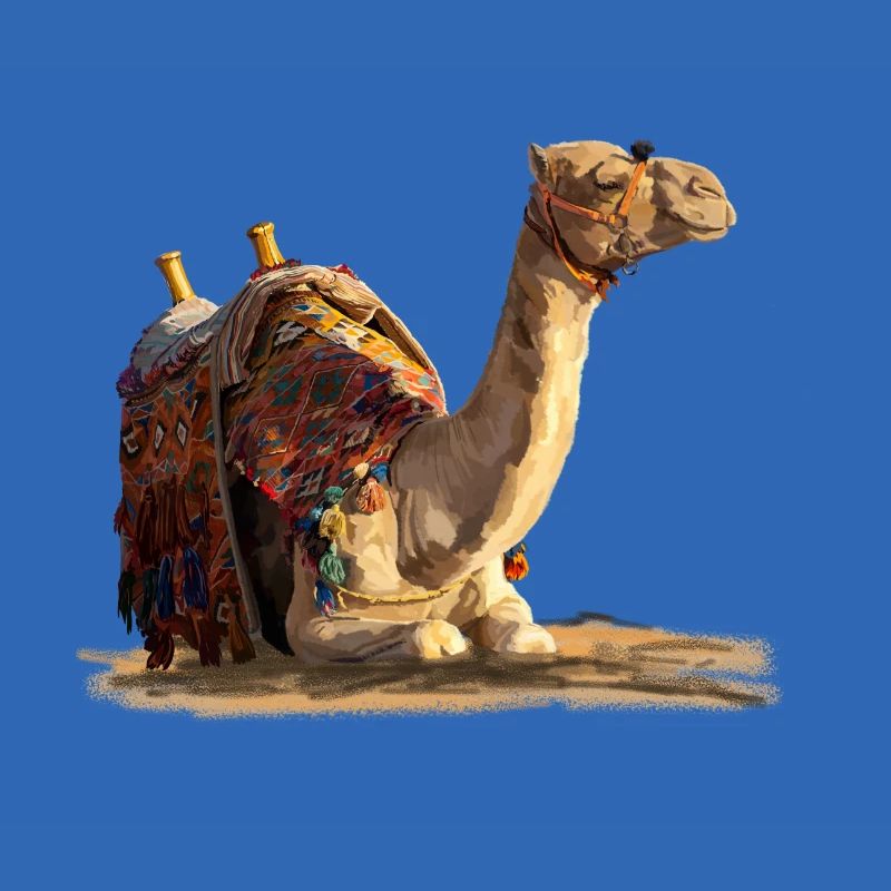 Camel