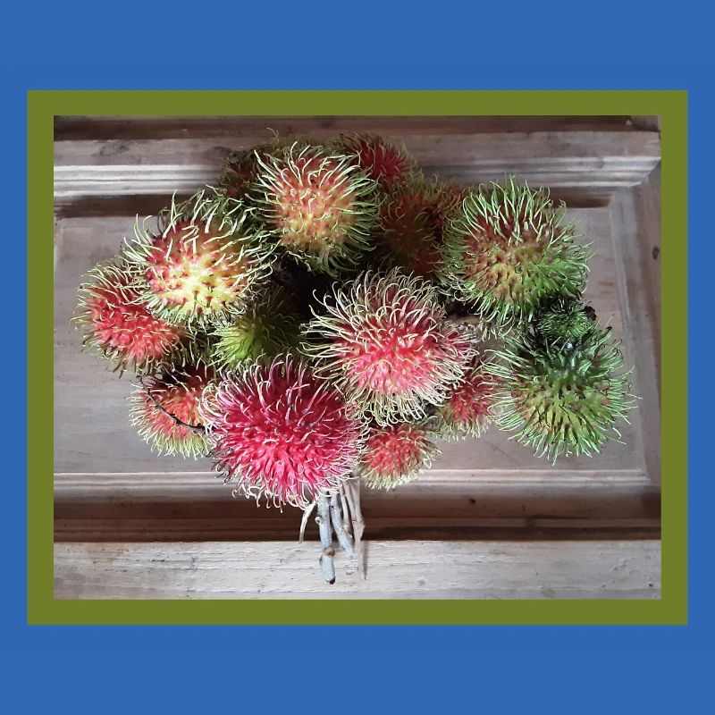 Lychee fruit