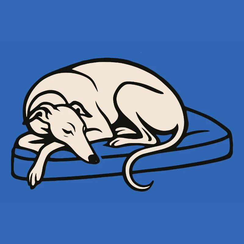Galgo sleeping