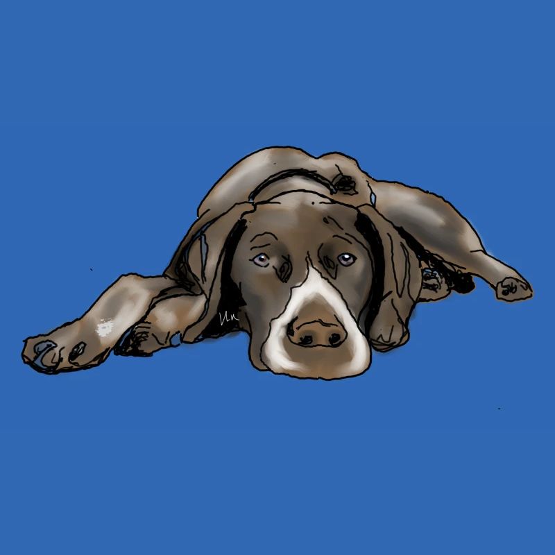 Pointer German Shorthair