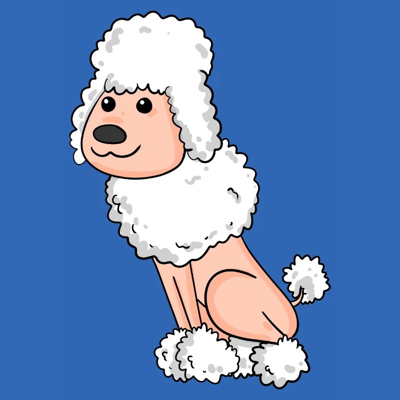 Caniche blanc