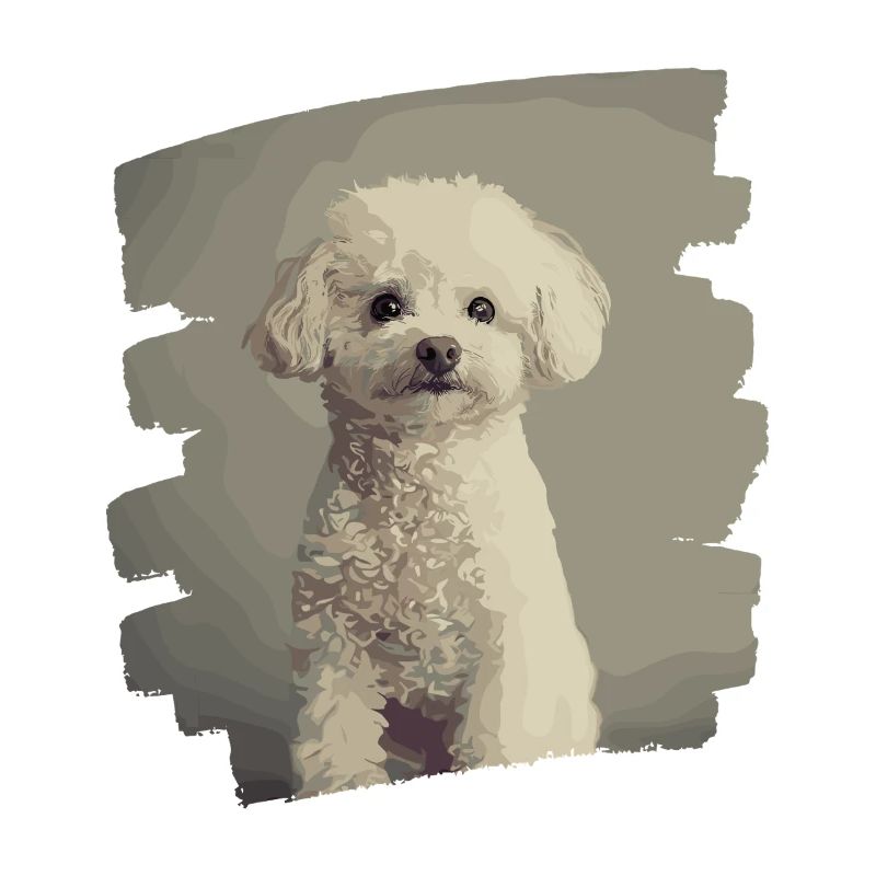 Caniche