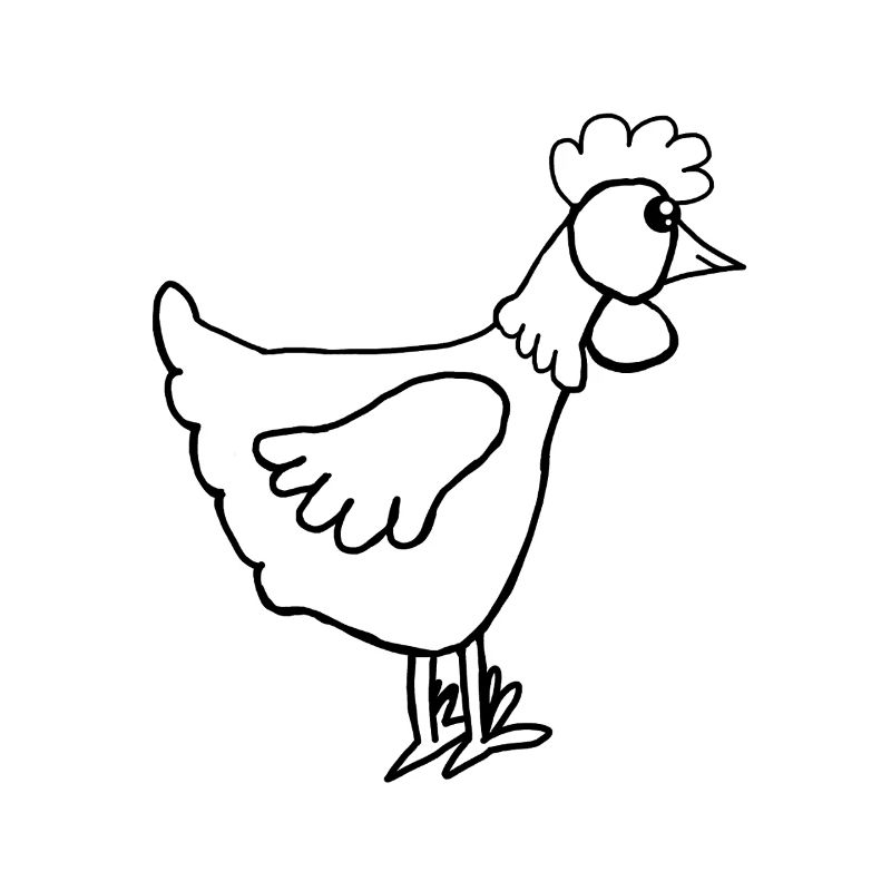 Hen Chicken Chickens