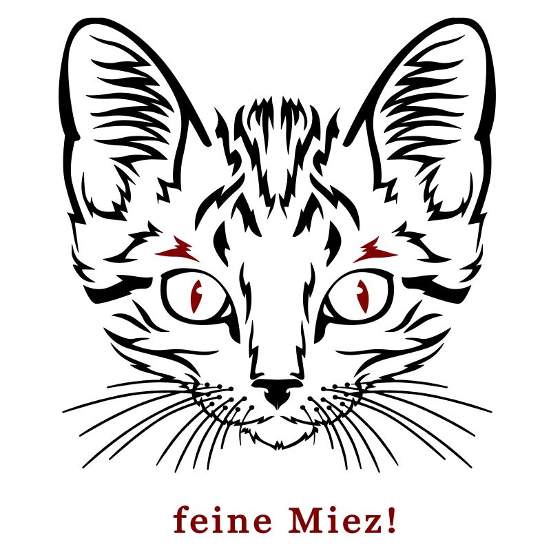 Katze, feine Miez