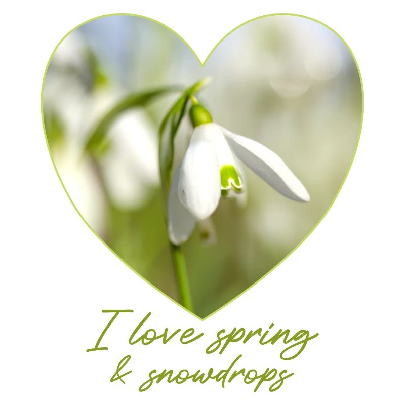 Herz mit Schneeglöckchen i love spring