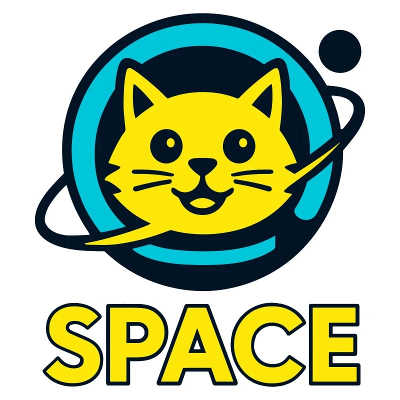 Chat de l’espace
