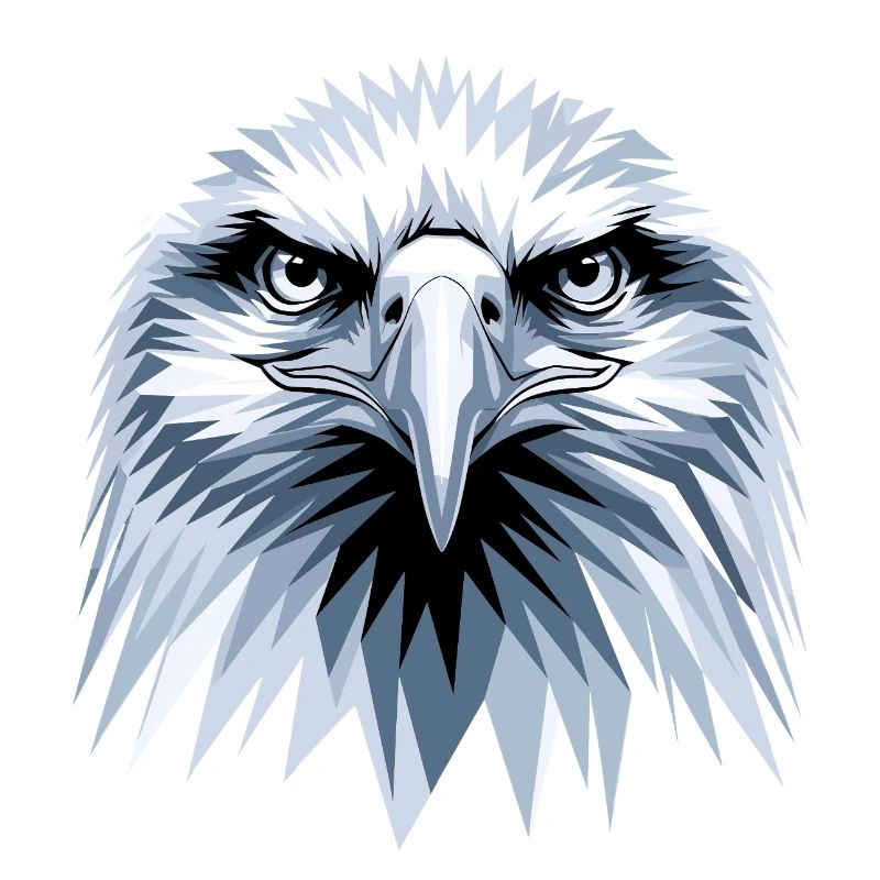 Eagle Bald Eagle Golden Eagle White-tailed Eagle