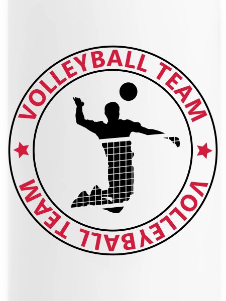 l'équipe de volley-ball