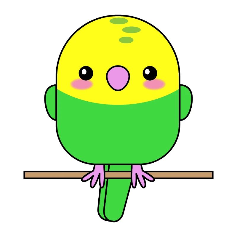 Perroquet Budgerigar