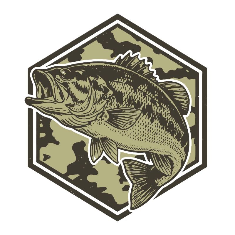 La basse dans l’hexagone de camouflage