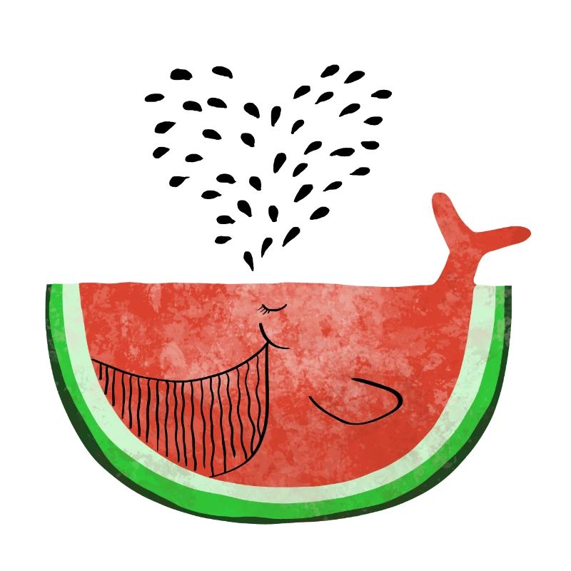 Pastèque Wal - melon Walvis - Fruit -Love
