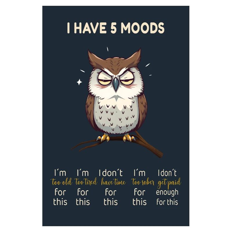 Grumpy Owl - J’ai 5 humeurs Design drôle