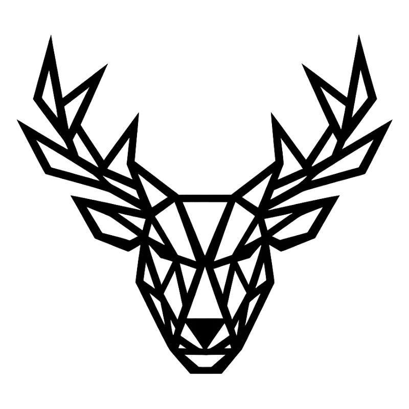Firts deer Geometry