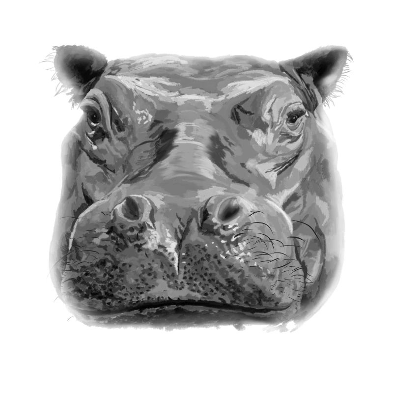 Nilpferd