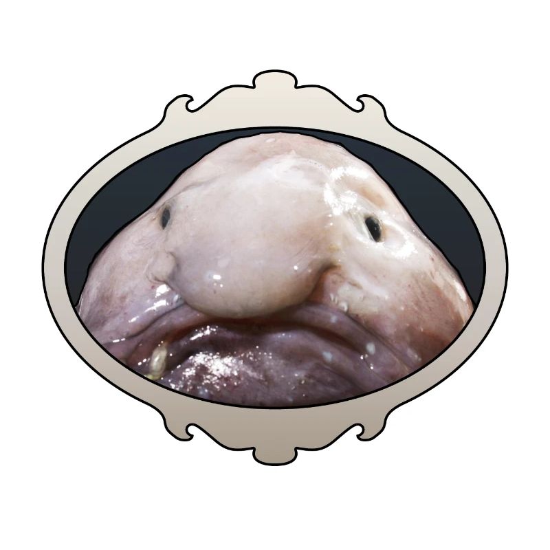 Laid blobfish, laid, Mr Blob