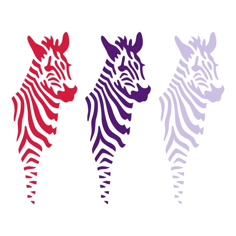 three zebras (b)