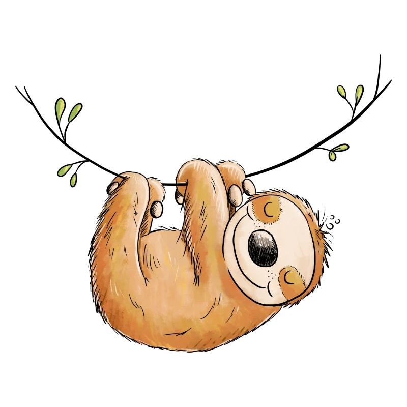 Sloth hangs out I Chilling animals I Lazy