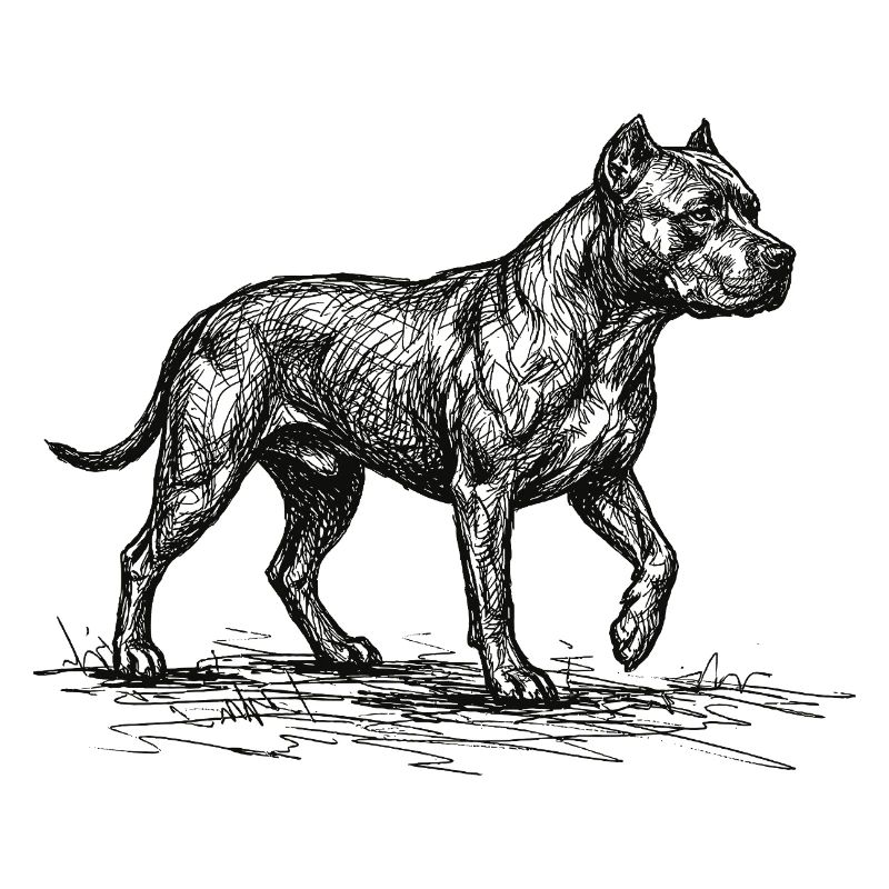 Pitbull Sketch – Minimalistisches Hund Design