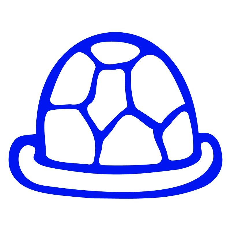 Turtle shell without turtle cute shell