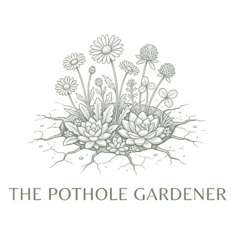 Der Schlagloch-Gärtner – Guerrilla Bloom Society