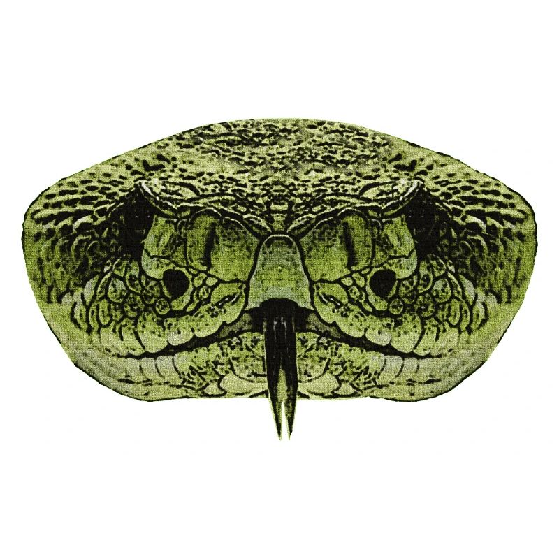 beste reptilien tees, schlangengesicht
