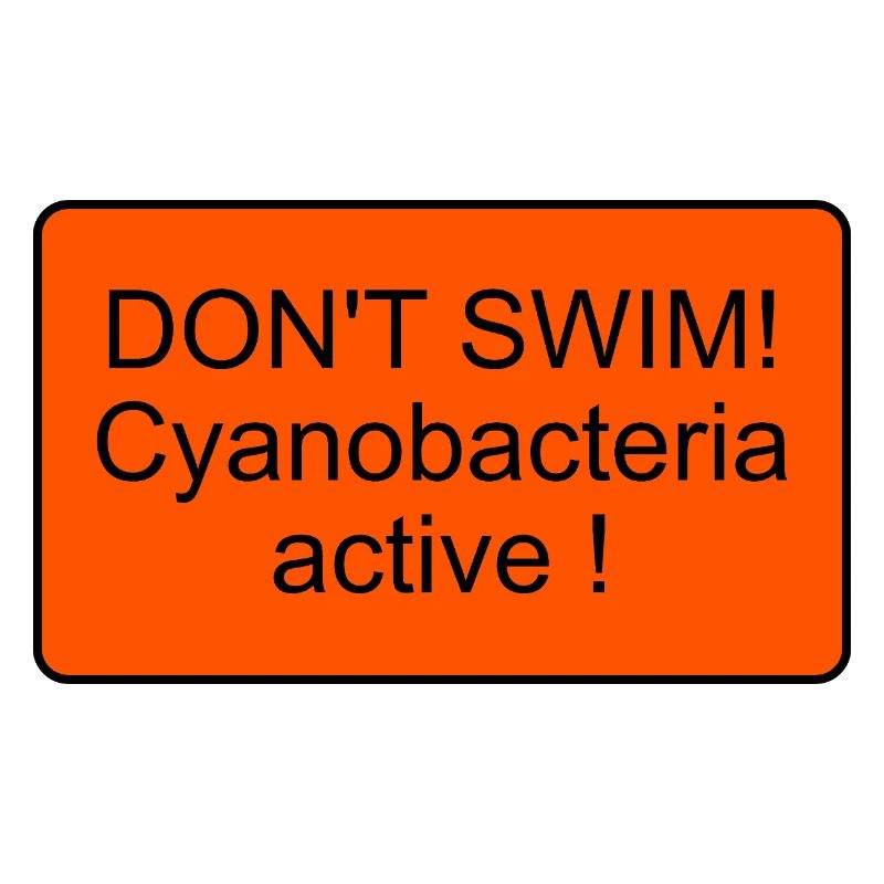 Cyanobactéries