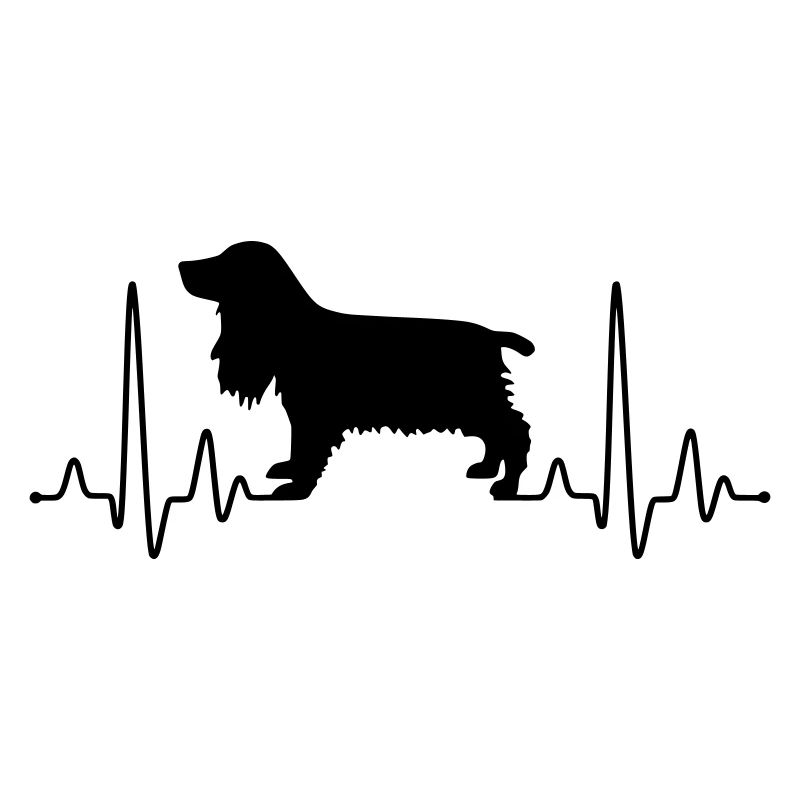 Cocker Spaniel Plus