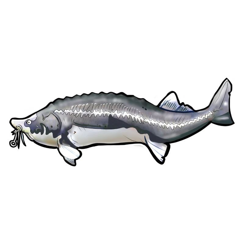 Grubbed Kelfish Tail Pattern