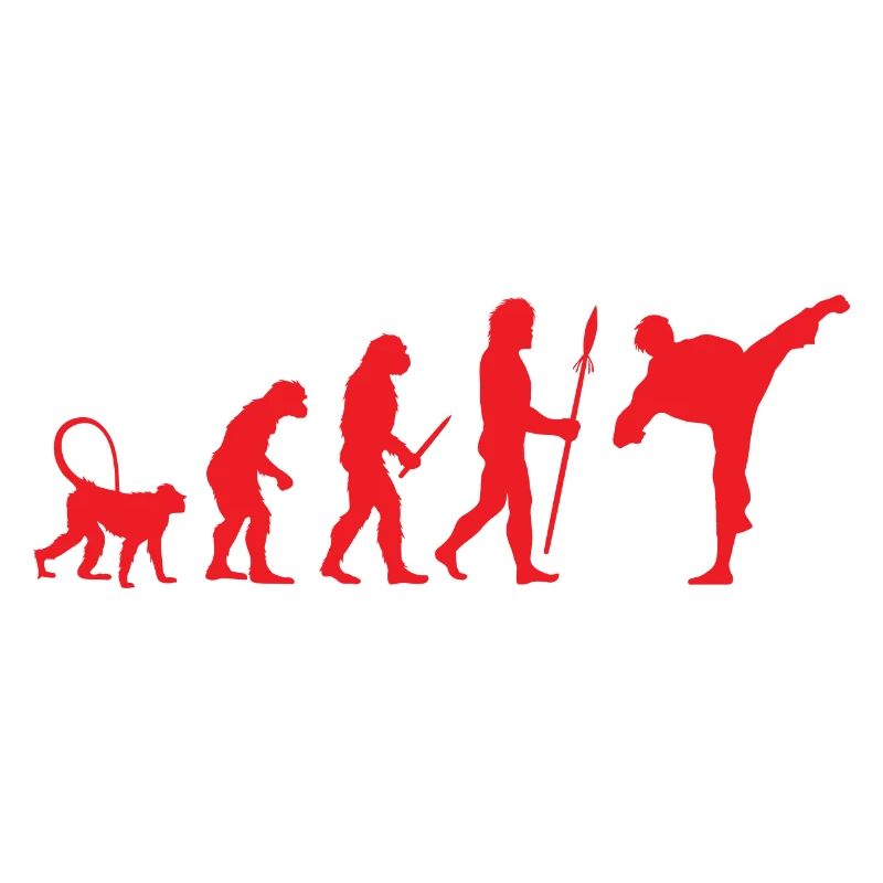 Development of Karate