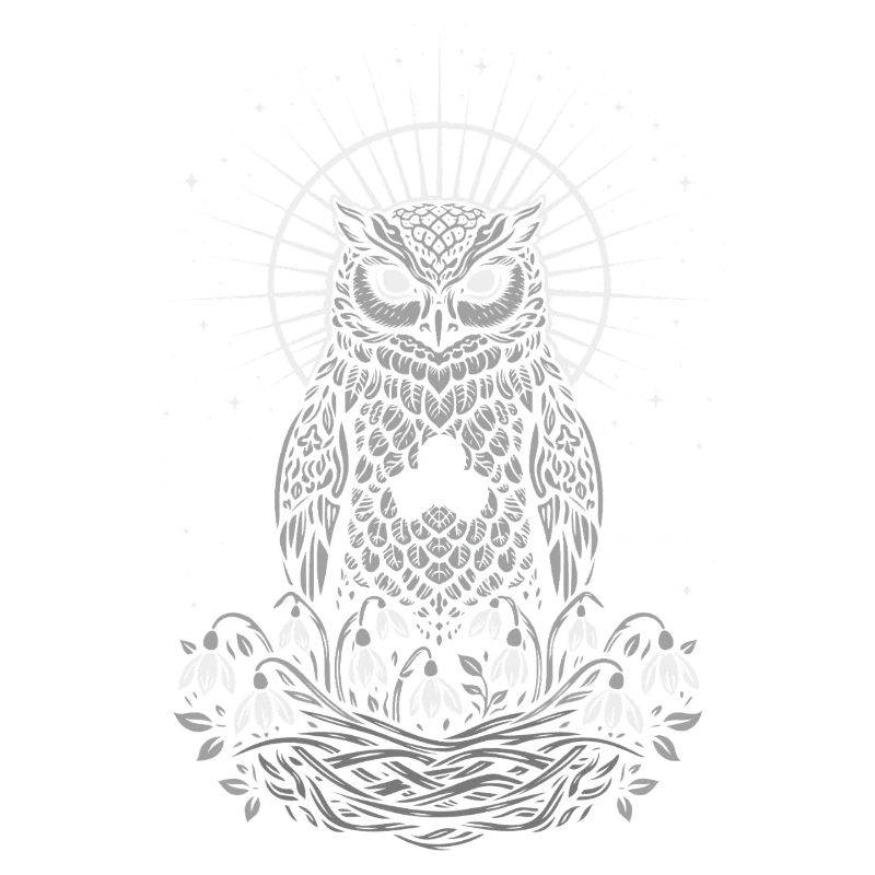 Imbolc Eule mit Triskele und Schneeglöckchen