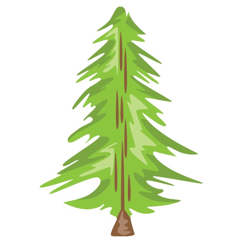 Christmas Tree Christmas Forest Tree Trees