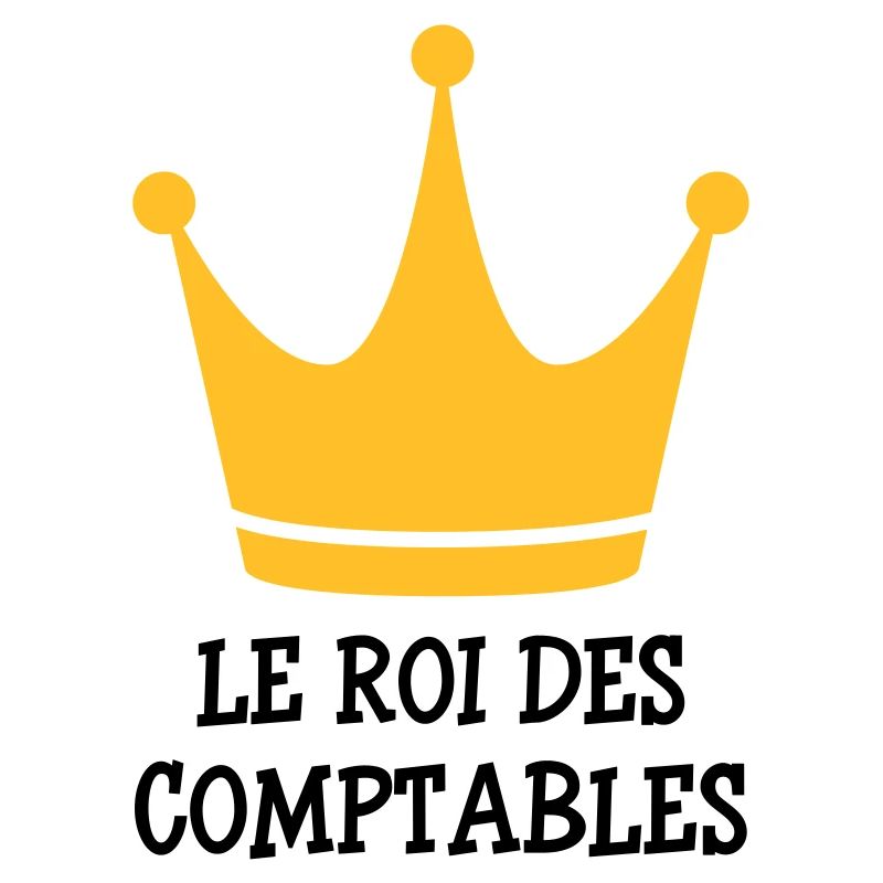 comptable / comptabilité / argent / Finance / Euro