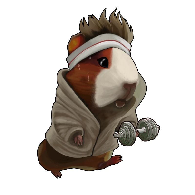 Design sportif de cochon d’Inde – Drôle et mignon
