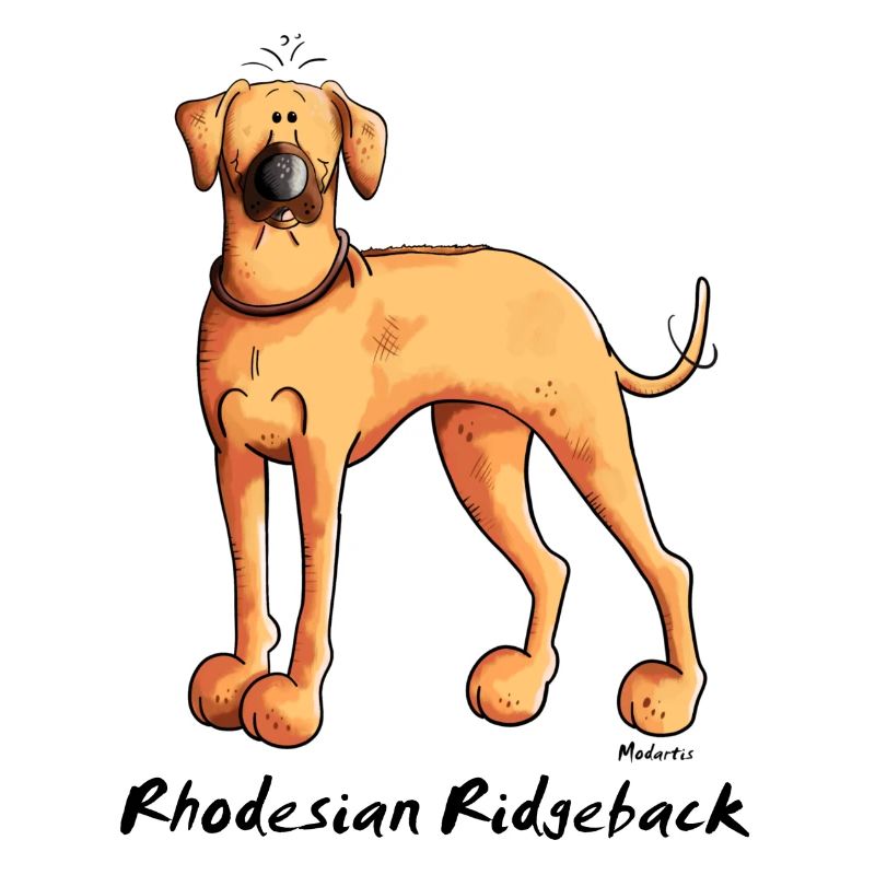 Drôle Rhodesian Ridgeback