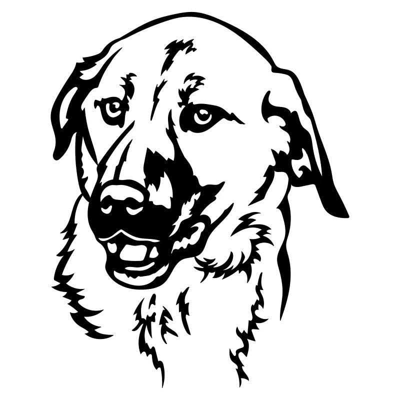 Kangal Head