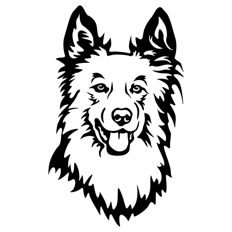 Harzer Fuchs Kopf