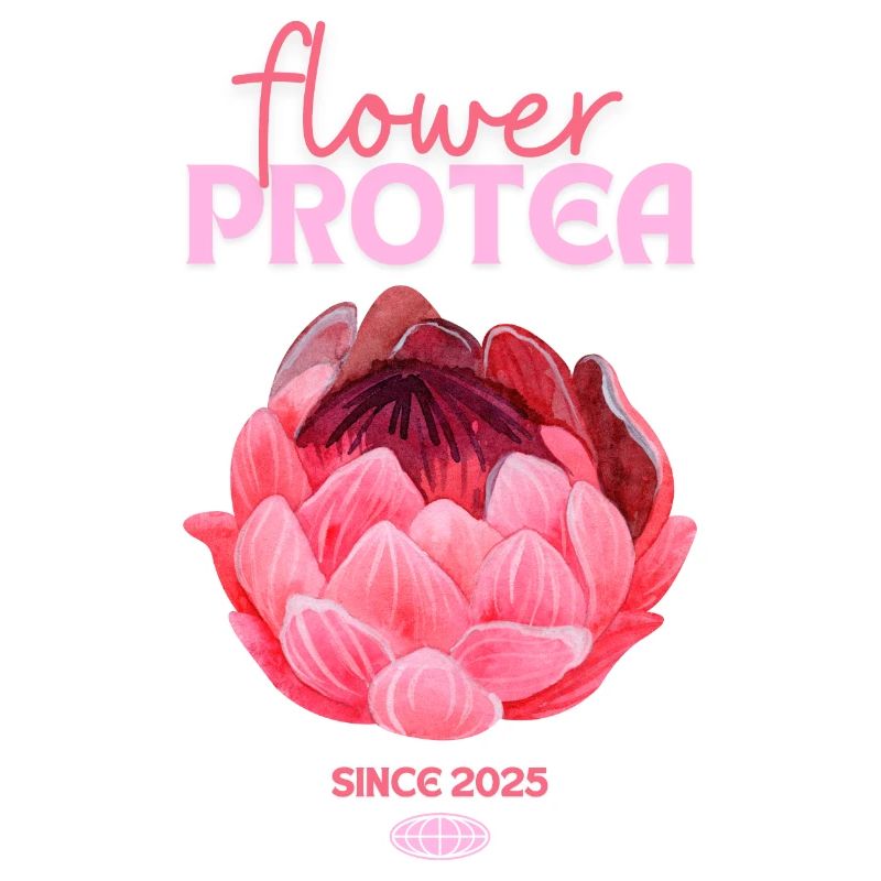 Protea Protea Fleur Proteas Fleurs roses