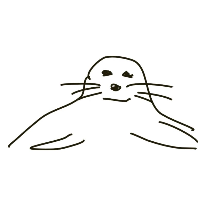 phoques phoques phoques animaux