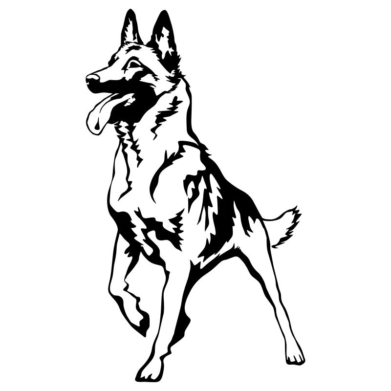 Malinois