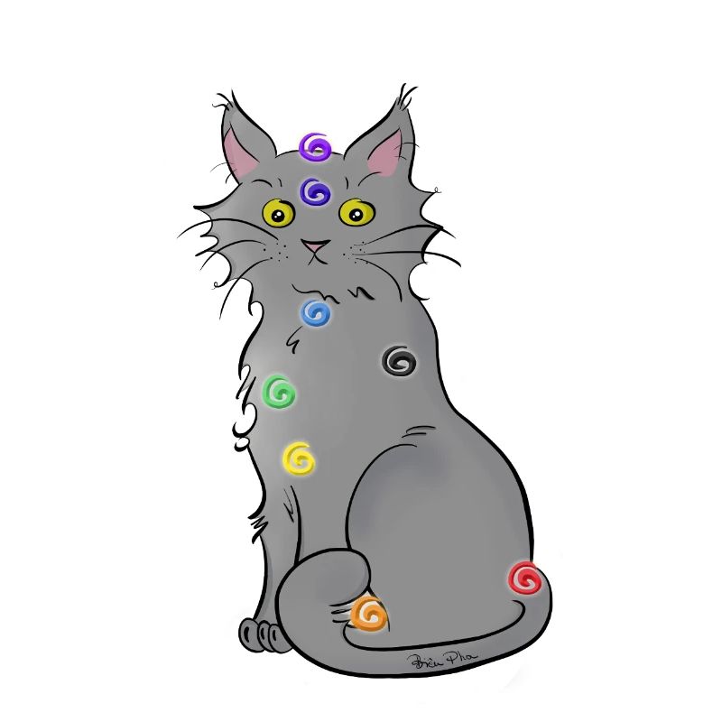 Chat-kra