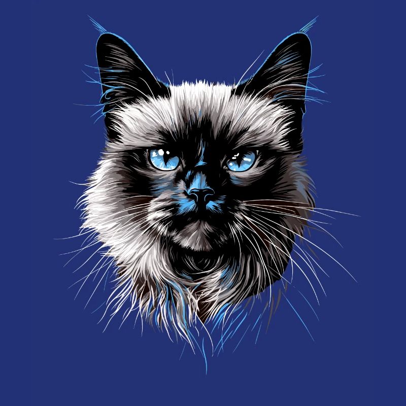 Chat Birman Chat Birman Sacré Chat Birman Mignon Chats Birmans